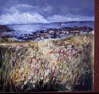 Poppies & Daises, Fife Coast